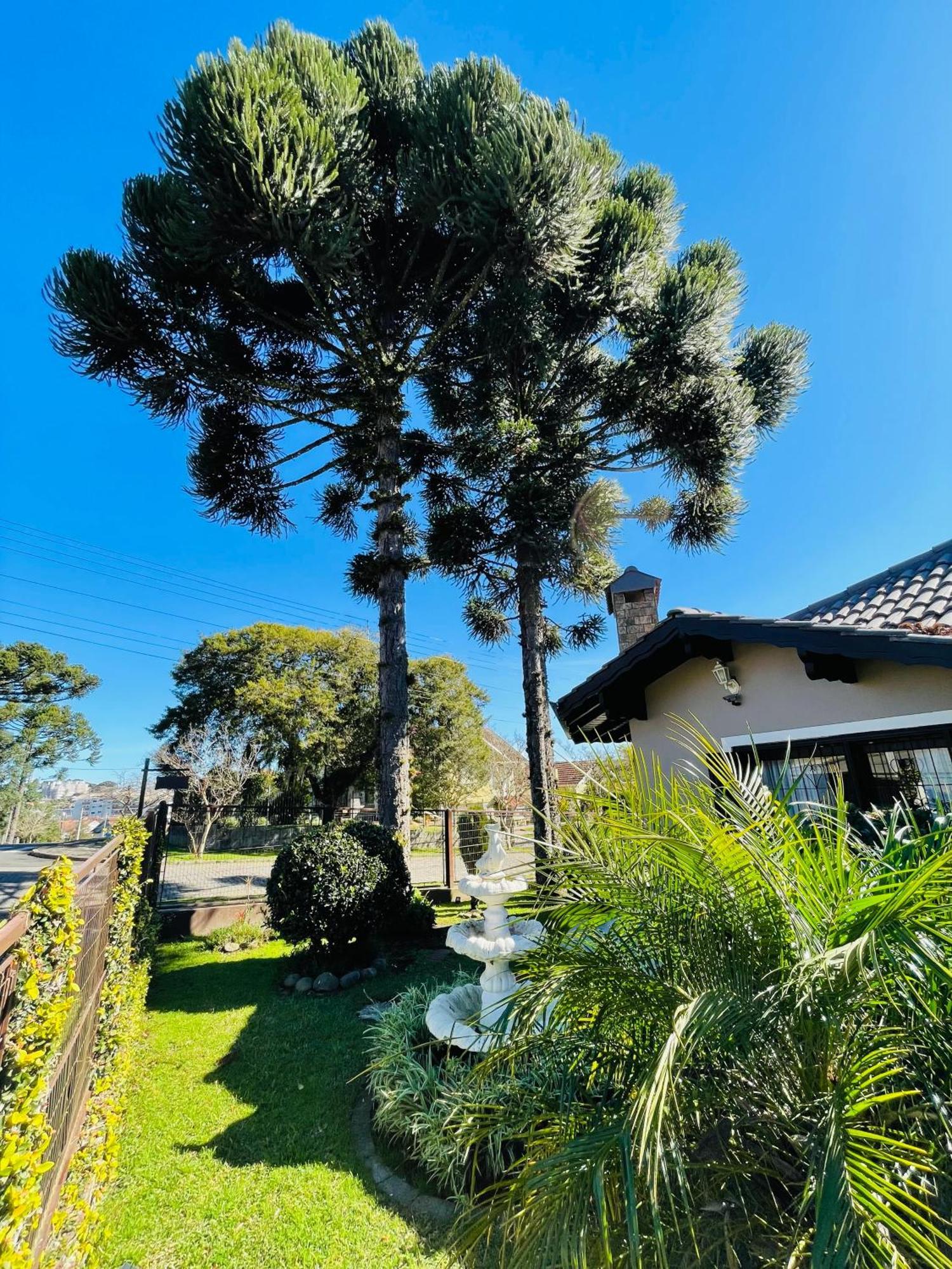 Hotel Residencial Pine House Canela Exterior foto